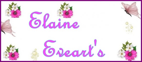 Loja de elaineevearts